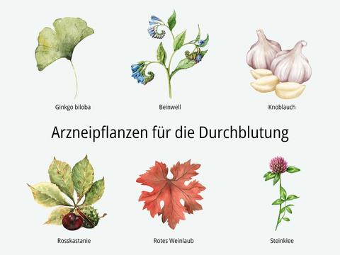 Diese Pflanzen fördern die Durchblutung - © Canva