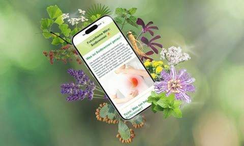 Newsletter Pflanzlich Anmeldung - © Canva
