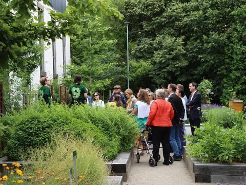 Tage der Arzneipflanzen: Führung durch den Garten - © Schwabe Austria