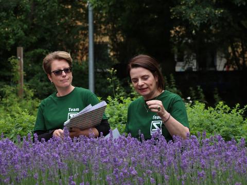 Tage der Arzneipflanzen: Pflanzenwissen - © Schwabe Austria