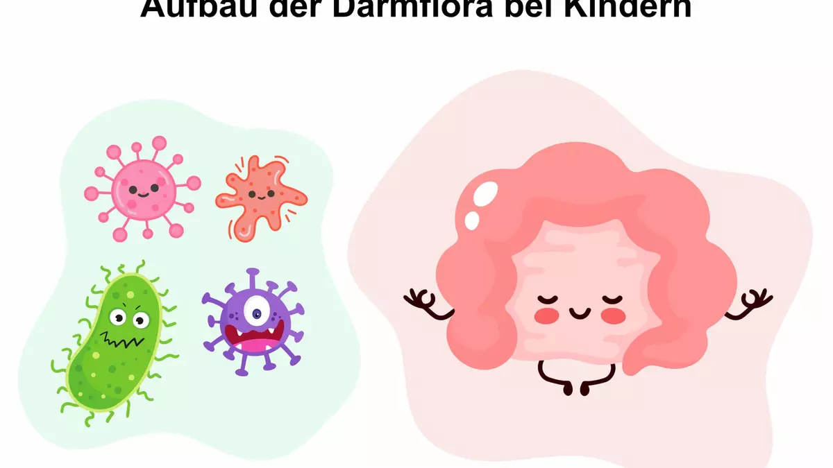 medikamente zum aufbau der darmflora