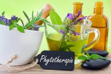 Phytotherapie Arzneimitteln aus Pflanzen – © AdobeStock/ 114841975