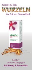Erkältung Ratgeber Kaloba Tipps Infekt – © Schwabe